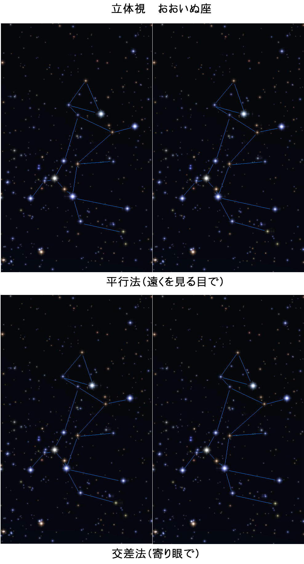 立体視　おおいぬ座  平行法交差法  星座線
